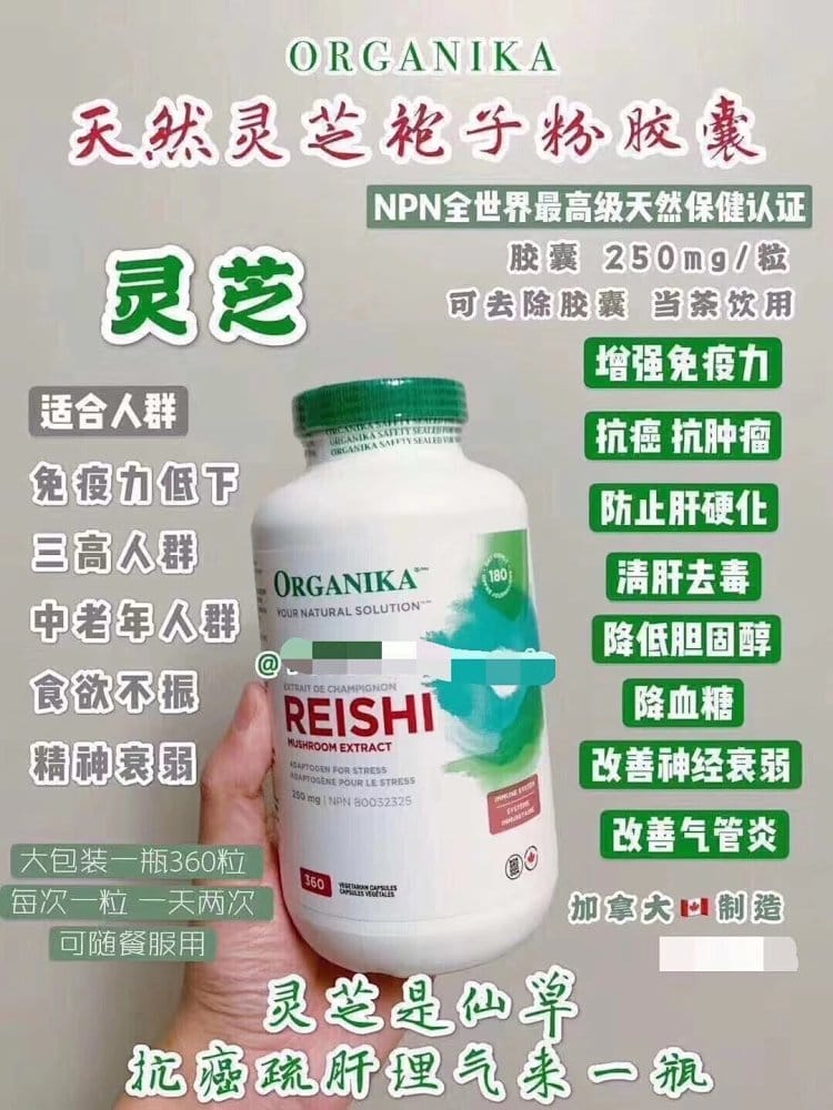 Organika 灵芝孢子粉胶囊 破壁孢子粉 高浓度250mg 360粒